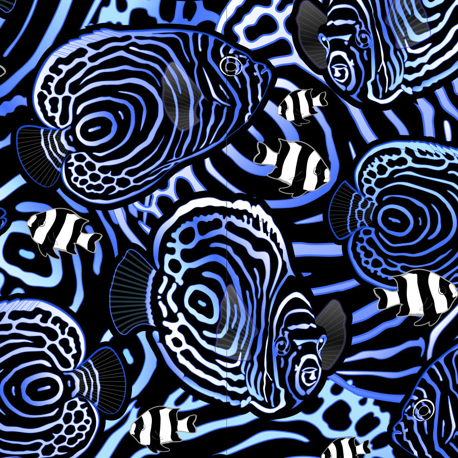 Eco-friendly Angelfish Hypnosis Dive Socks