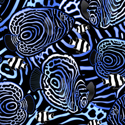 Eco-friendly Angelfish Hypnosis Dive Socks