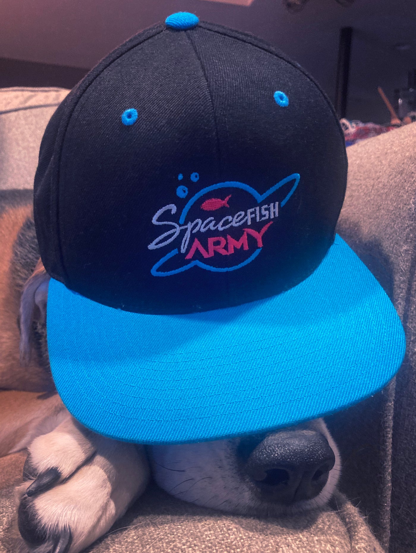 Spacefish Army Logo Snapback Hat